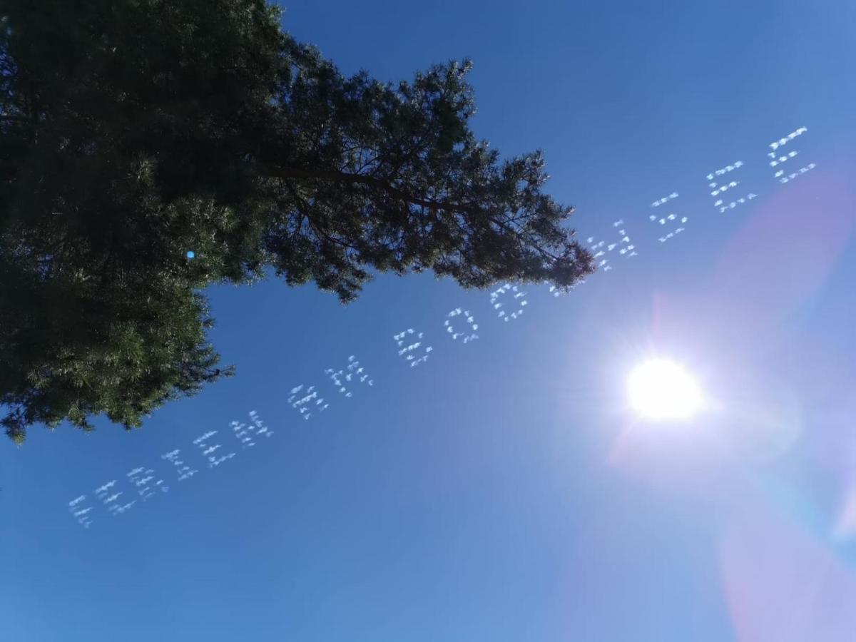 Gaestehaus Zum Landesteg Immenstaad am Bodensee Dış mekan fotoğraf