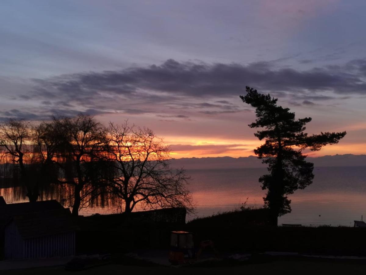 Gaestehaus Zum Landesteg Immenstaad am Bodensee Dış mekan fotoğraf