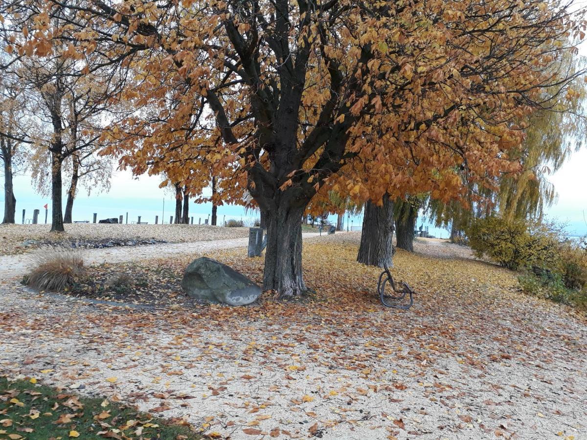 Gaestehaus Zum Landesteg Immenstaad am Bodensee Dış mekan fotoğraf