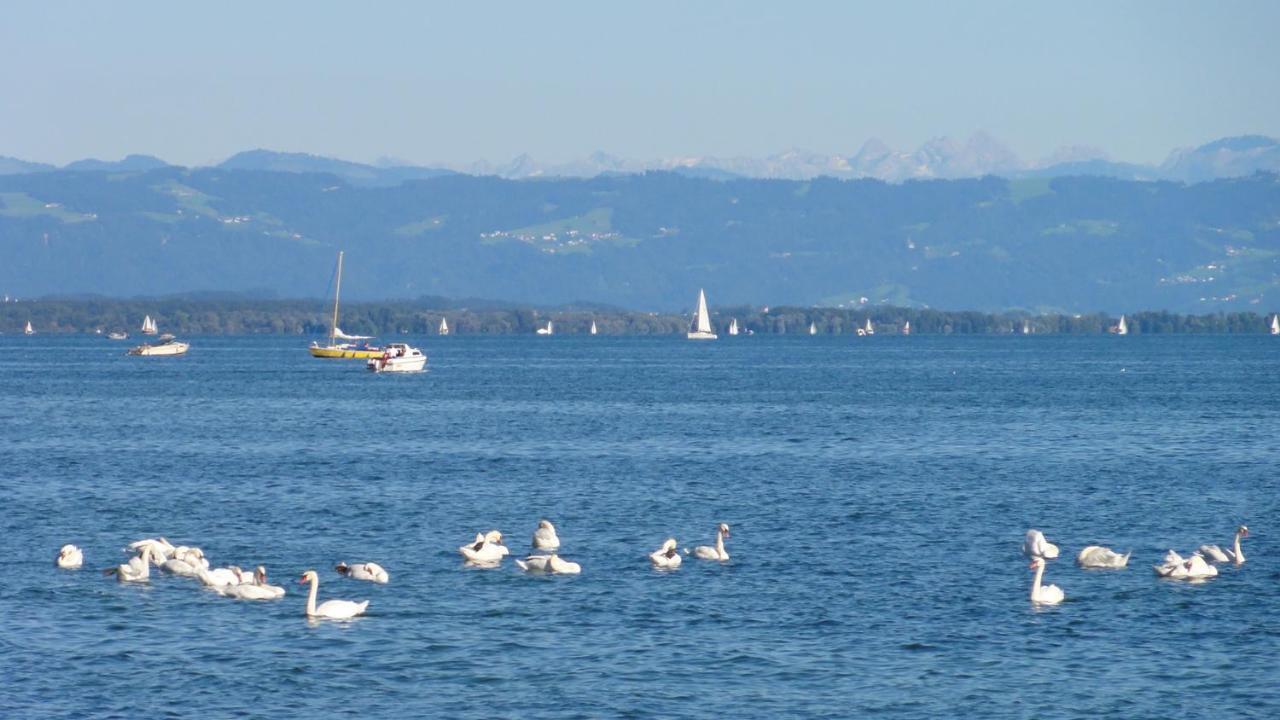 Gaestehaus Zum Landesteg Immenstaad am Bodensee Dış mekan fotoğraf